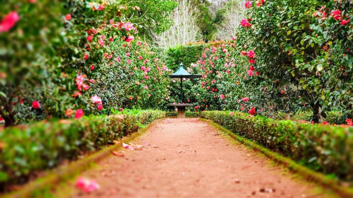 Idée coin détente jardin : comment faire de son jardin un endroit idéal pour l'été ?