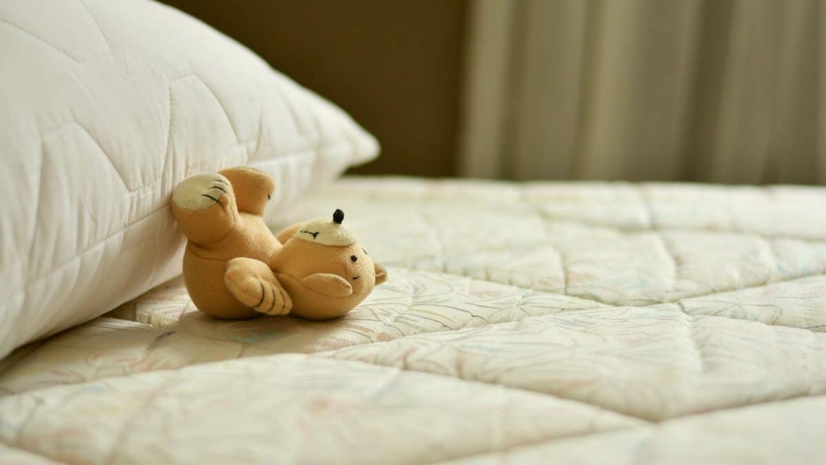 Des professionnels s'occupent des punaises de lit à votre domicile