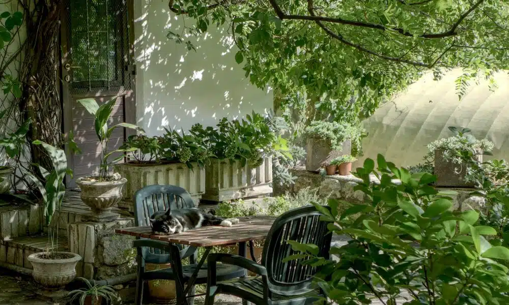 Idée coin détente jardin : comment faire de son jardin un endroit idéal pour l'été ?