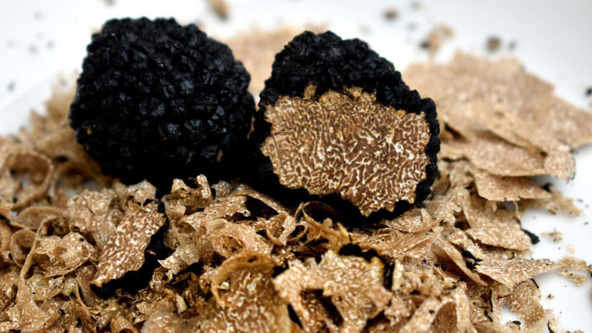 Truffes fraîches pour les fêtes, une expérience culinaire inoubliable !